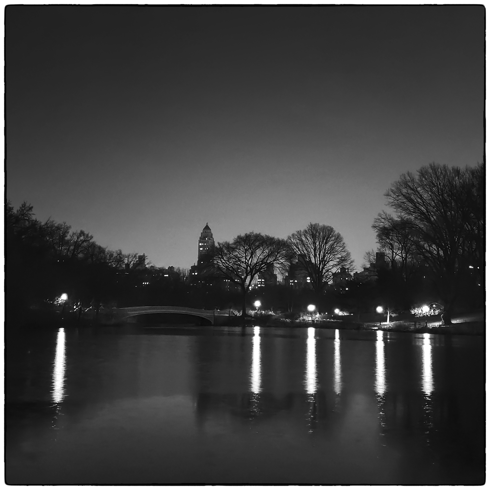 N.Y. Nit